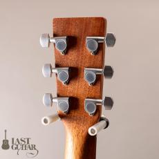 Martin GPC-X2E Ziricote_9