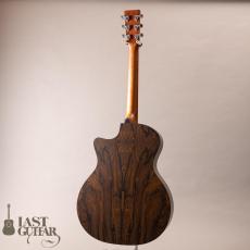 Martin GPC-X2E Ziricote_14