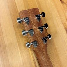 Martin D-X2E Brazilian Burst Special #3098074 【エレアコ】【Dr.Sound】_9