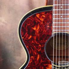Gibson 1968年製 Everly Brothers_14
