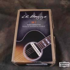 L.R.Baggs M1 Passive_3