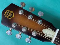 Dobro DUOLIAN MODEL-90_5