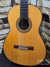 Sergio Tezanos セルヒオ・テサーノス 2009年製 松・中南米ローズウッド【日本総本店2F 在庫品】