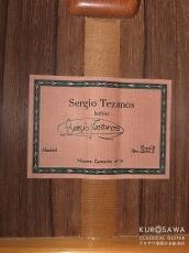 Sergio Tezanos セルヒオ・テサーノス 2009年製 松・中南米ローズウッド【日本総本店2F 在庫品】_4