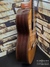 Sergio Tezanos セルヒオ・テサーノス 2009年製 松・中南米ローズウッド【日本総本店2F 在庫品】_9