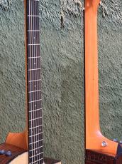 Taylor 214ce Plus C-Class Bracing #2201085061【48回迄金利0%対象】【送料当社負担】_8