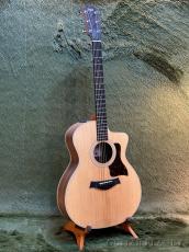 Taylor 214ce C-Class Bracing #2202185361【48回迄金利0%対象】【送料当社負担】_2