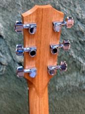 Taylor 214ce C-Class Bracing #2202185361【48回迄金利0%対象】【送料当社負担】_5
