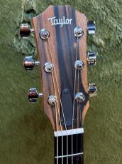 Taylor 212ce Walnut #2209274184【48回迄金利0%対象】【送料当社負担】_4