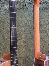 Taylor 212ce Walnut #2209274184【48回迄金利0%対象】【送料当社負担】_8