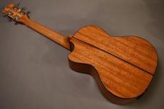 KALA KA-STGE-C Tenor_3