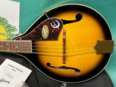Epiphone MM-30_2