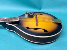 Epiphone MM-30_4
