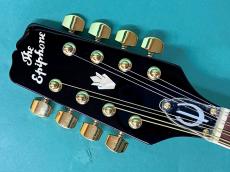 Epiphone MM-30_5