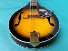 Epiphone MM-30_11
