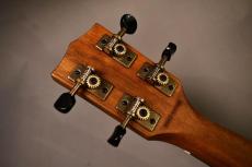 KALA KA-KOA-TE Tenor_6