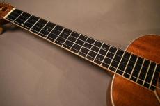 KALA KA-AMHG-ST SuperTenor_7