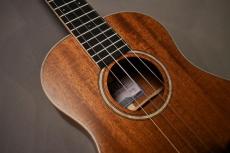 KALA KA-AMHG-ST SuperTenor_9