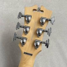 D'Angelico Premier Bedford SH -Black Flake- #KP223260 ≒3.42kg【S-S-MHレイアウト!】_9