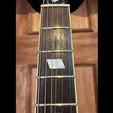 Epiphone Casino VS_5