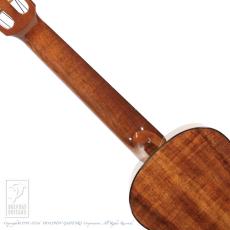 KOU ukulele Concert A model Hawaiian Koa (Model CEAK)_6
