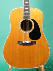 Martin D-45