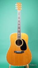 Martin D-45_2