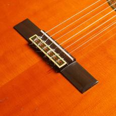 YAMAHA GC-3D_3