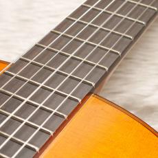 YAMAHA GC-3D_5