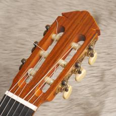 YAMAHA GC-3D_6