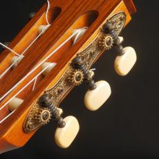 YAMAHA GC-3D_8