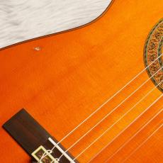YAMAHA GC-3D_12
