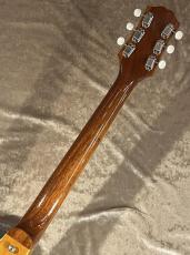 KING SNAKE 【USED】Swamp Amber Natural [2.30㎏]【G-CLUB TOKYO】_8