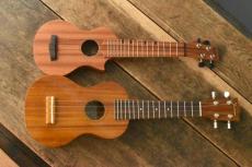Craft Musica "Junta mini" All Sapele_9