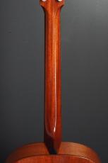 Thompson TM-1_9