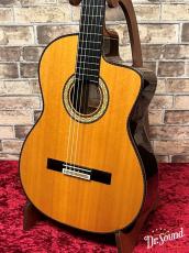 Takamine タカミネ　300 Custom 2014年製【個人オーダーモデル】_3