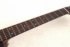 Martin 【NEW Model!!!】 D-X2E Brazilian Burst Special #3098083 【エレアコ】【48回無金利】_7