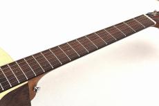 Martin  【エレアコ】GPC-X2E COCO #3054417 【48回無金利】_7