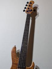 Sadowsky Metroline 24-Fret Modern Bass 5st 2025 Limited Edition -AAA Koa Top- #060/135【3.81kg】_6