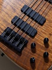Sadowsky Metroline 24-Fret Modern Bass 5st 2025 Limited Edition -AAA Koa Top- #060/135【3.81kg】_9