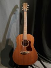 Taylor AD27e_4