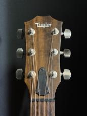 Taylor AD27e_6