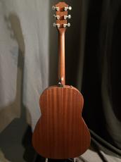 Taylor AD27e_8