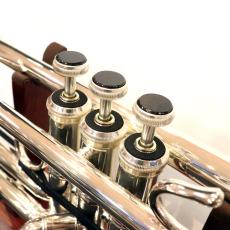 SIXAR-JAPAN ピストンボタン サヌカイト(讃岐岩)インレイ [Bachトランペット用]_2