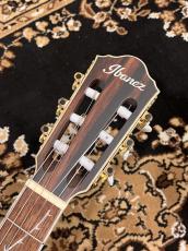 Ibanez TOD10N-TKF Tim Henson Model_5