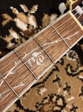 Ibanez TOD10N-TKF Tim Henson Model_8