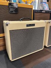 Roland Blues Cube Stage