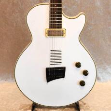 Ibanez AE200