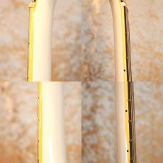 Ibanez AE200_4