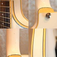 Ibanez AE200_5